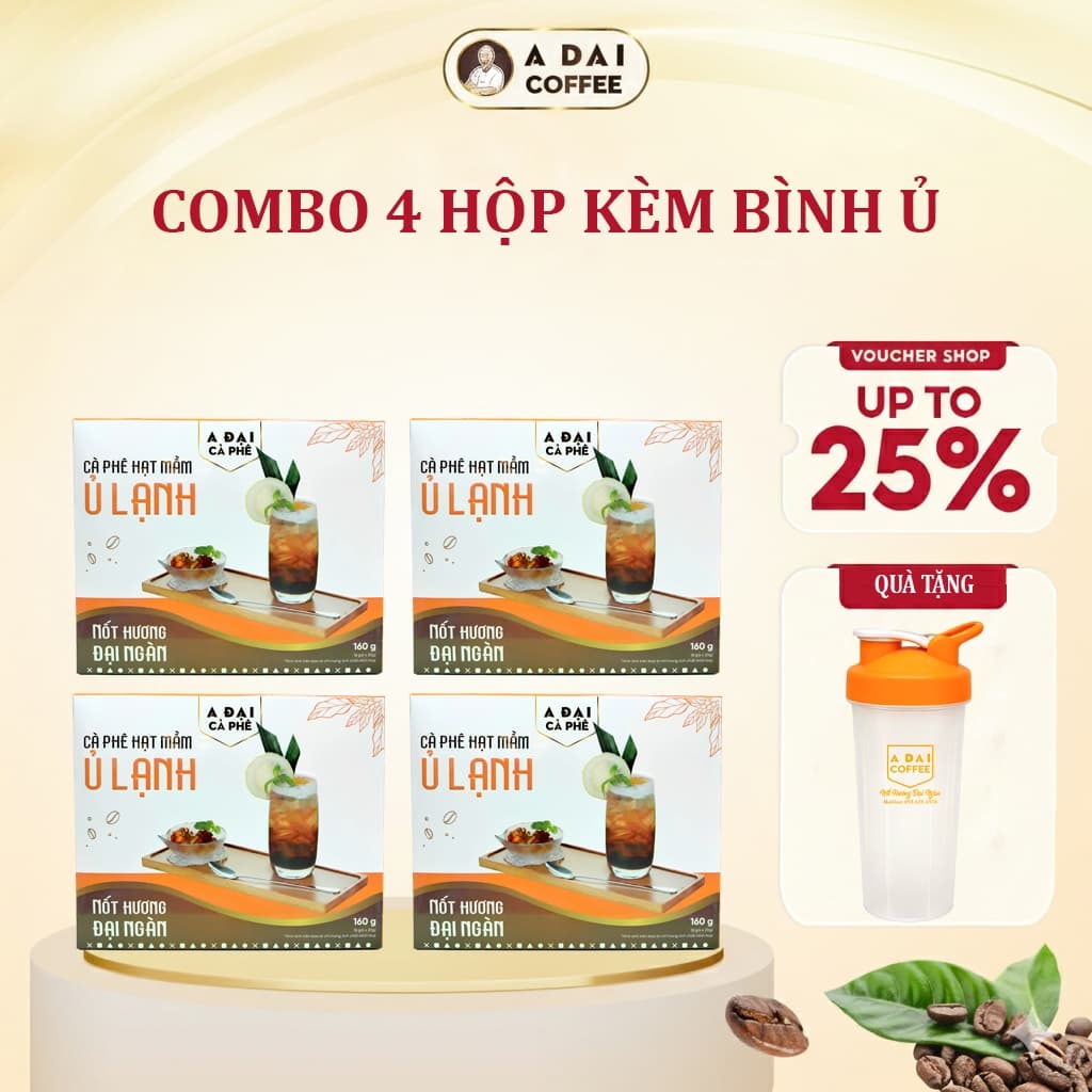 Combo 4 Hộp Cà Phê Hạt Mầm Ủ Lạnh - Cold Brew Hộp Túi Lọc (8 gói) - Hương Trái Cây, Thanh Lọc Cơ Thể